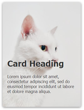 Card - Image Fill